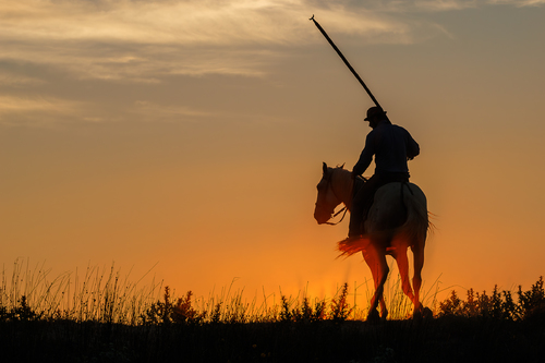 Camargue Horse and Guardian #1