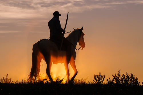 Camargue Horse and Guardian #2
