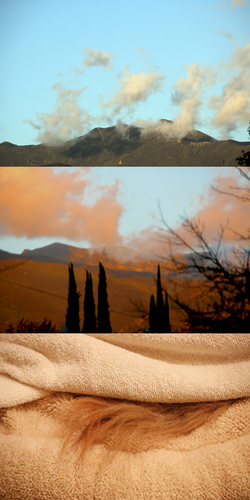 CRICKET OJAI TRIPTYCH (RIP)