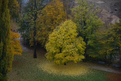 German Autumn