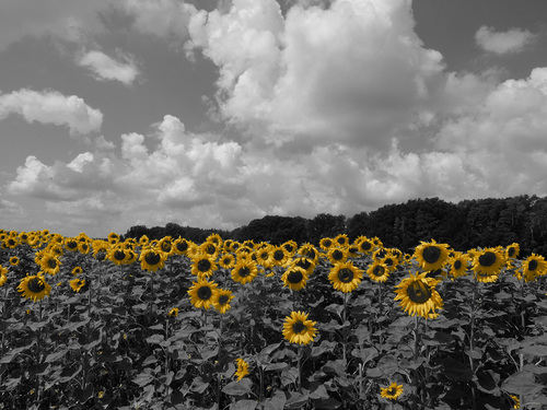 summertime