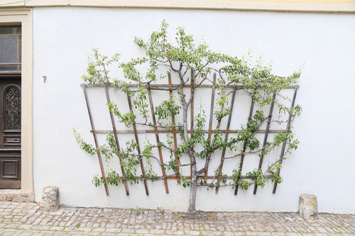 Gartenkunst