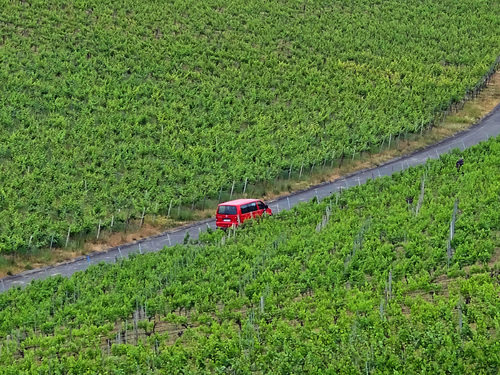 Weininsel