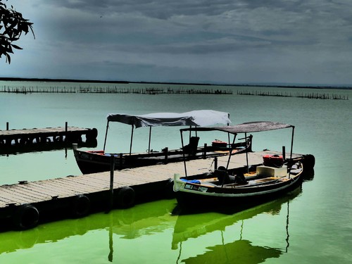 Albufera hot