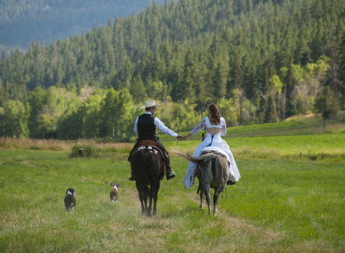 Happy Trails