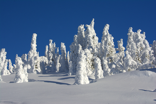 Snow Ghosts