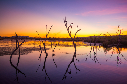Reflections (1)