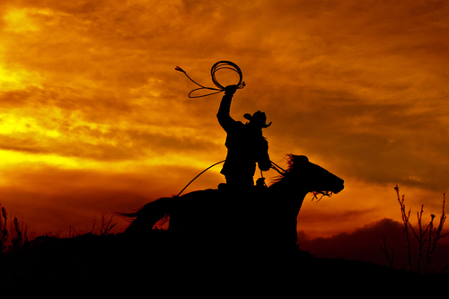 Sunset Wrangler