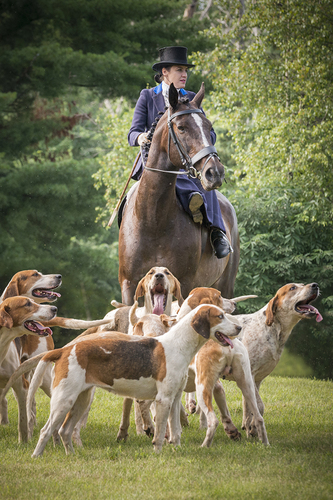 Foxhunting Sidesaddle