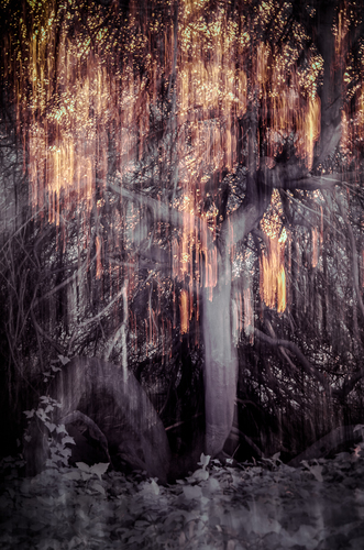 burn (1)