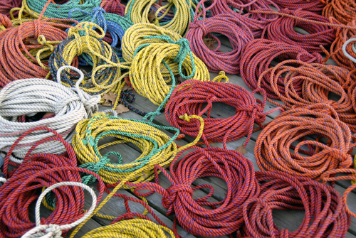Maine lobster ropes
