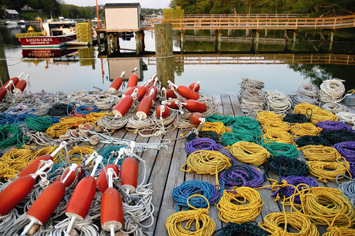 Maine lobster ropes and buoys