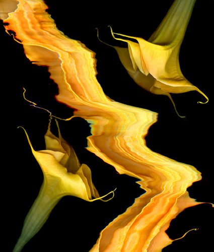 Yellow Whoosh