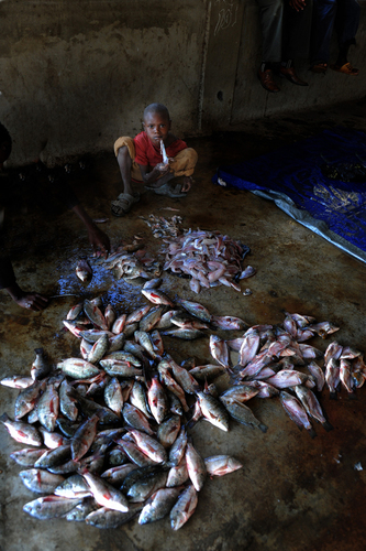 il pescatore