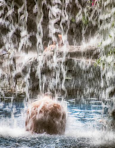 Under the Waterfall
