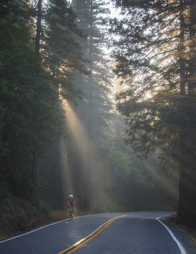 Riding on Sunshine