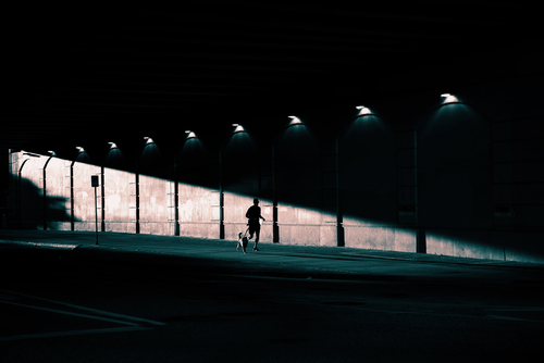 Morning Jogger and Dog