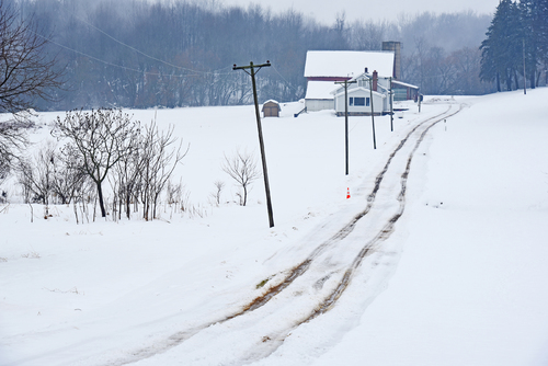 Michigan winter