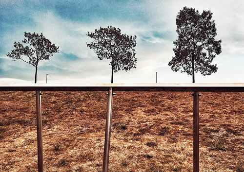 Mind over matter: Roots of steel