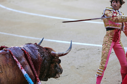 Blood Sport