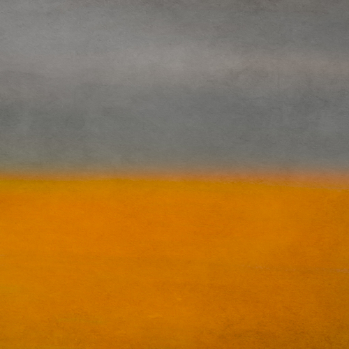 Autumn Gold #3
