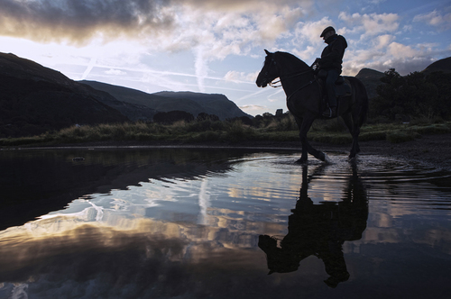 Dylan and Diablo at Snowden