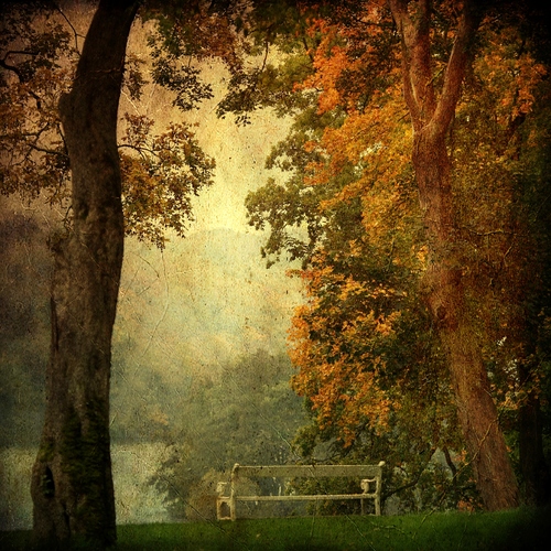 Autumn 