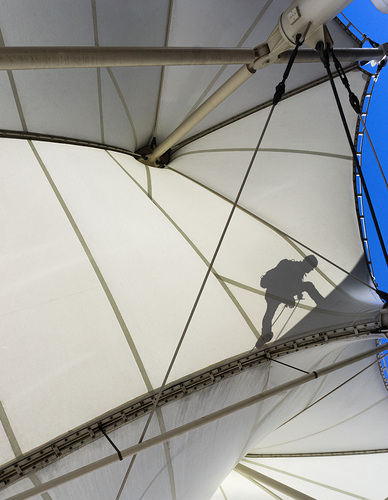 Canopy Inspection