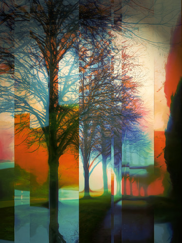 Evening Walk