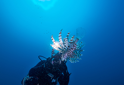 Underwater Photographer