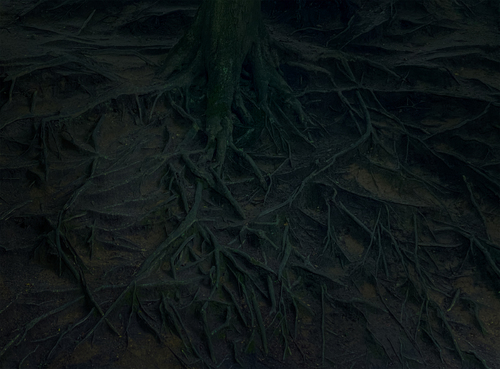 Dragon Canyon