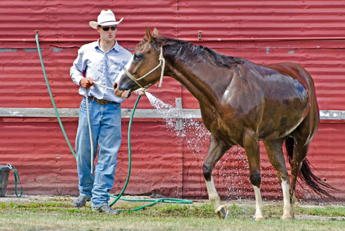 Cool Down at the Rodeo