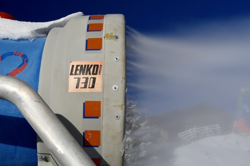 Snowshot