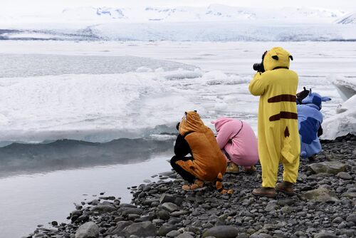 Looking for whales?