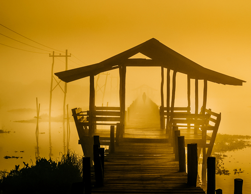 Into the Mist