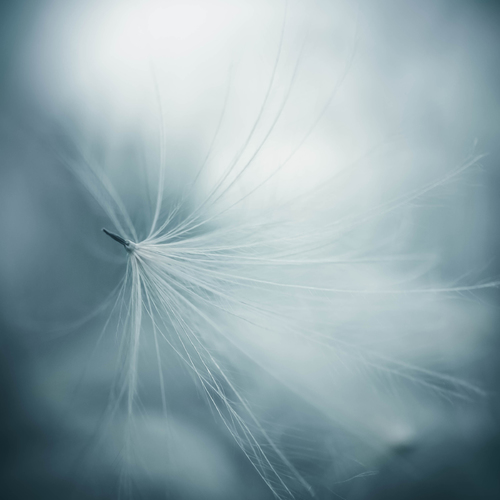 lightness