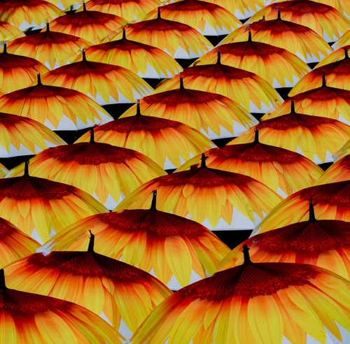 Golden Canopies