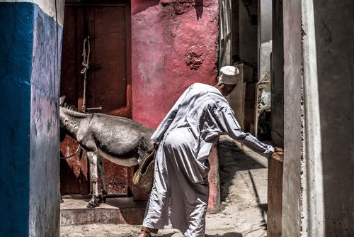 Donkey road
