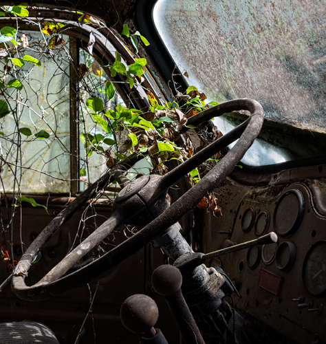 Reclaim