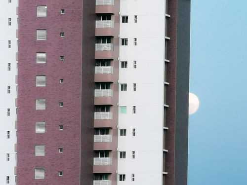 The Moon