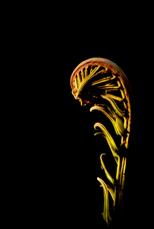 Color Awards Winners and Nominees