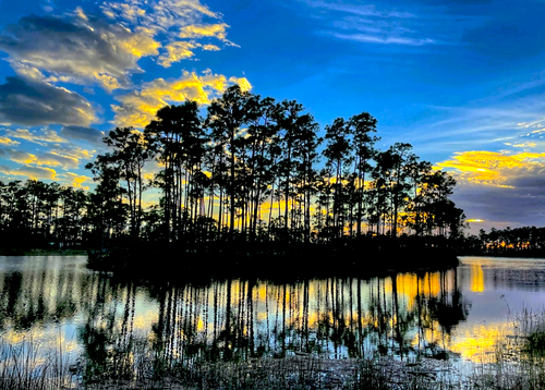 Beginning of the Everglades