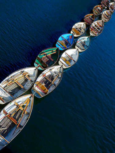 The Oars Have It