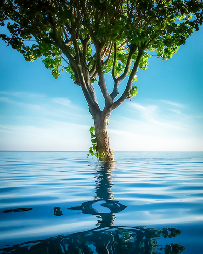 Sea Change