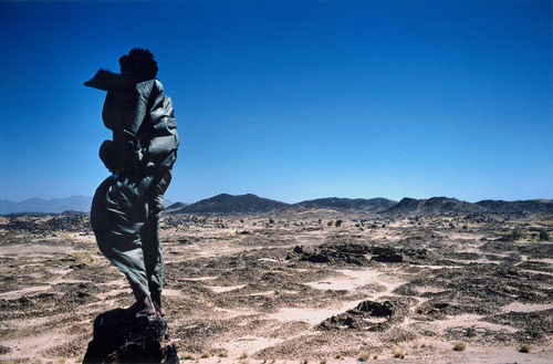 Into the Wild. Wind's sculptures