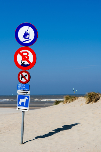 The Beach