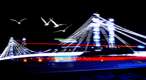Freedom to fly