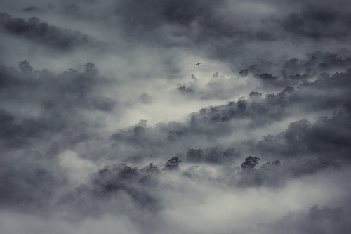 Painterly Dawn
