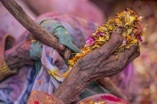 Flower Holi
