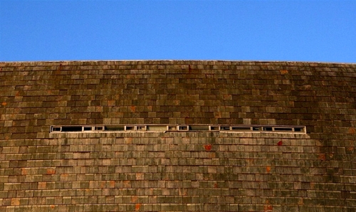 Domus